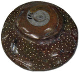 Sculpted Ammonite 02