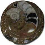 Sculpted Ammonite 03