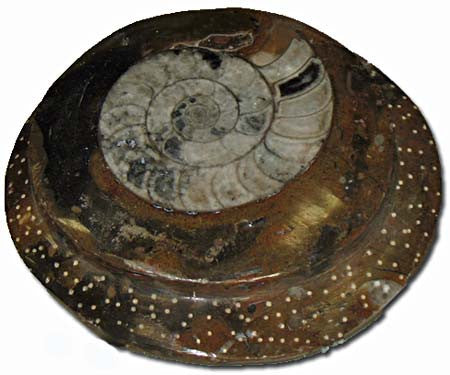 Sculpted Ammonite 05