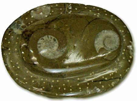 Sculpted Ammonite 06