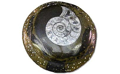 Sculpted Ammonite 04