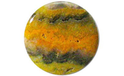 Bumble Bee Jasper Cabochon 01