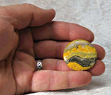 Bumble Bee Jasper Cabochon 03