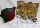 Acryilic Cabochon Stand Clear CAB04