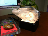 Light Base - Black Base with Solid White Translucent Top