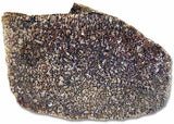 Dinosaur Bone - No 1